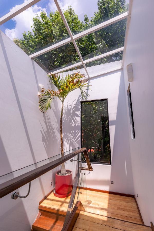 Casa Blanca In Coyoacan Μεξικό Εξωτερικό φωτογραφία
